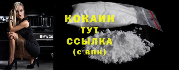 индика Бугульма