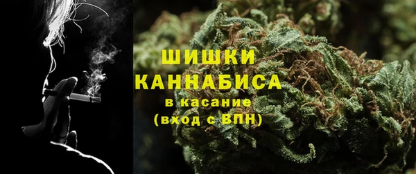 индика Бугульма