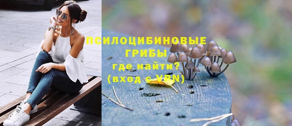 твердый Богородицк