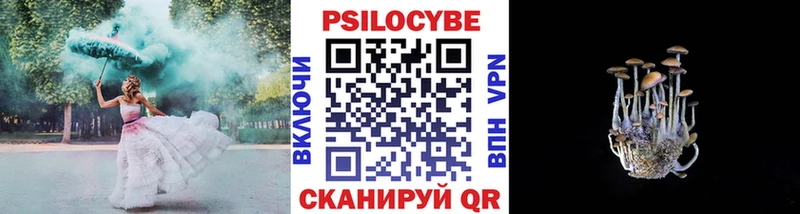 ссылка на мегу маркетплейс  Грайворон  Псилоцибиновые грибы GOLDEN TEACHER 